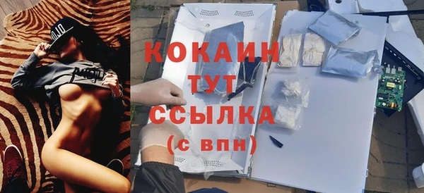твердый Аркадак