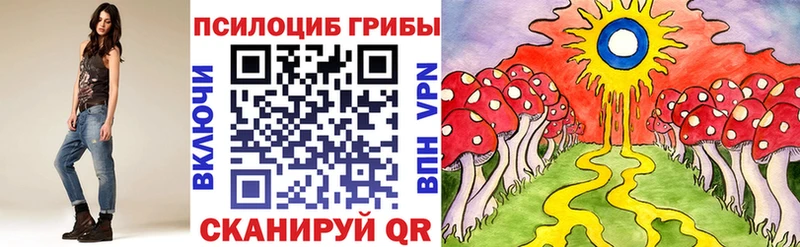 Псилоцибиновые грибы Cubensis  купить наркотик  omg ССЫЛКА  Барыш 